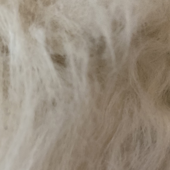 Stacy Kessler sheepskin chain link crossbody bag - Picture 4 of 4